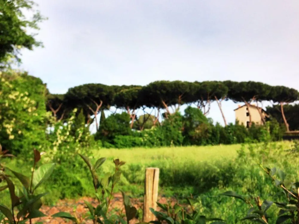 Kolping Hotel Casa Domitilla Rome